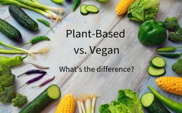 Plant Based vs Vegan What's the difference? | Keeping the Peas