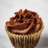 chocolate vegan cupcake
