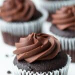 Vegan chocolate cupcakes with chocolate frosting.