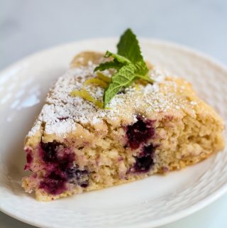 vegan blueberry cake slice