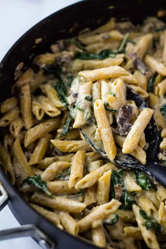 spoonful of vegan mushroom pasta in pot