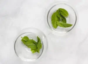 mint leaves on the bottom of two glasses