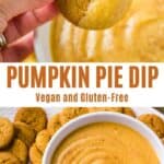 pumpkin pie dip