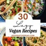 Lazy vegan recipes: tacos, fried rice, garlic noodles, chili.