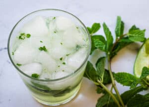 glass filled with ice and club soda with specks of mint