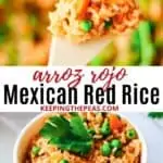 arroz rojo, Mexican red rice on spoon and in small white bowl