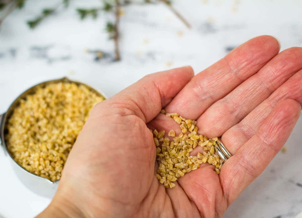Hand holding a palm of uncooked bulgur wheat grains.