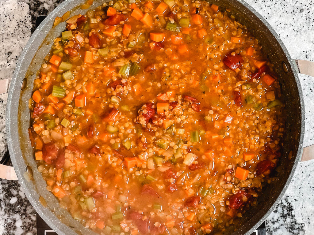 Red lentil soup with vegetables and diced tomatoes.