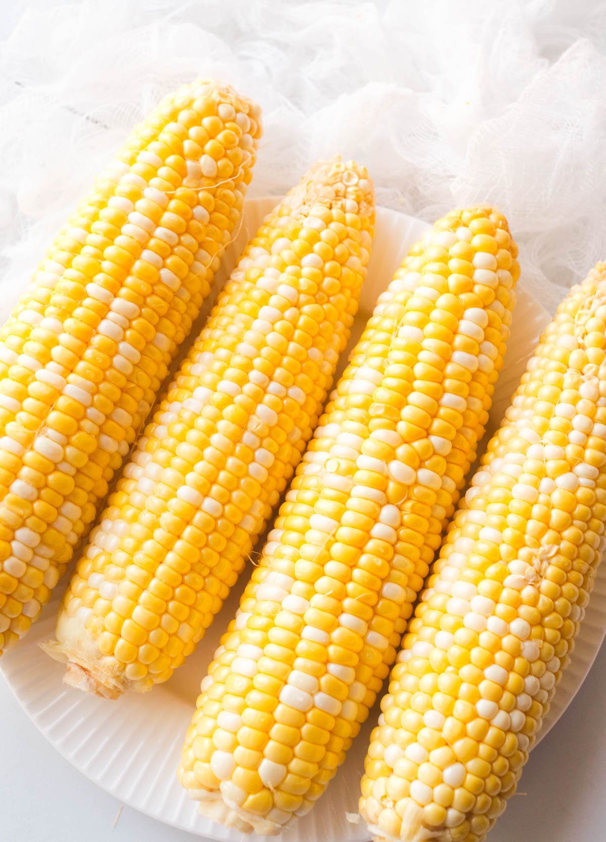 Four ears of corn shucked and cleaned on a white plate.