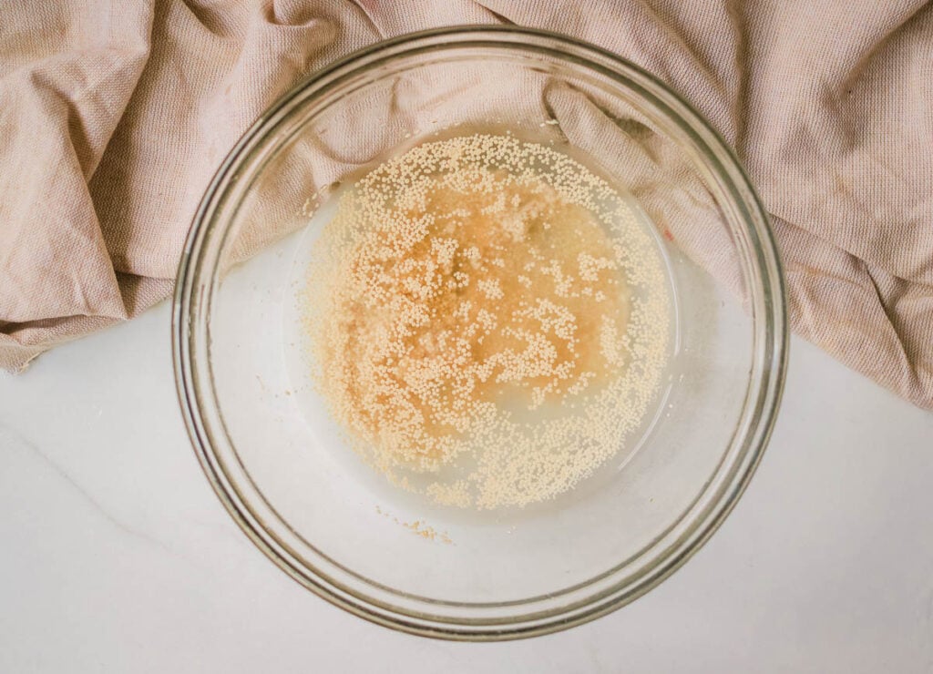 Yeast and water in glass bowl.