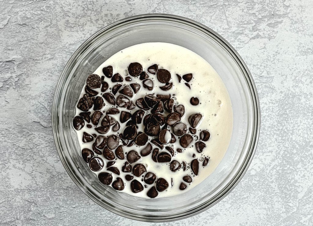 Coconut cream and chocolate chips in glass bowl. 