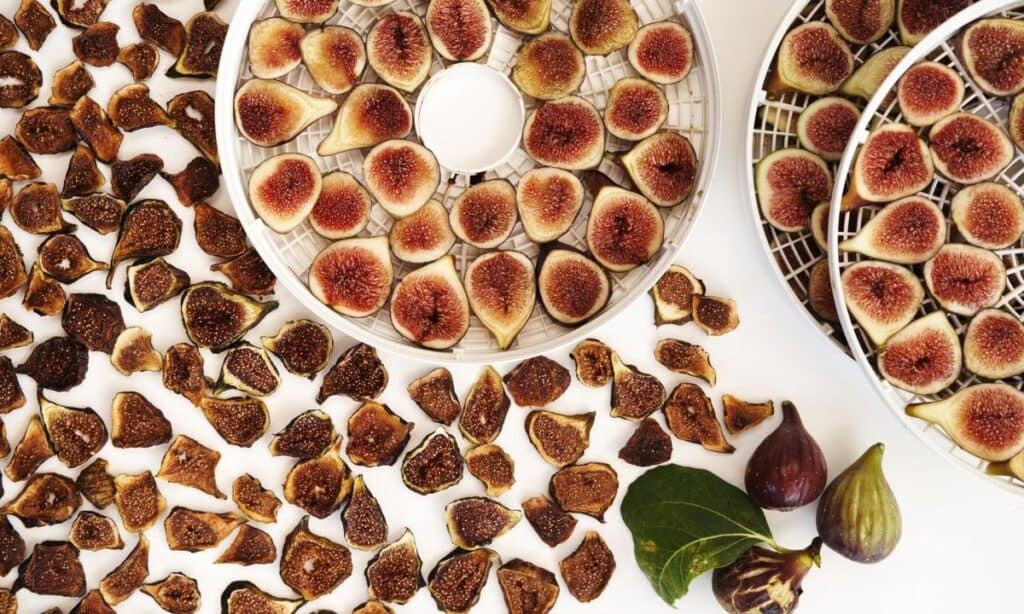 Dehydrated fig pieces on counter and in dehydrating trays. 