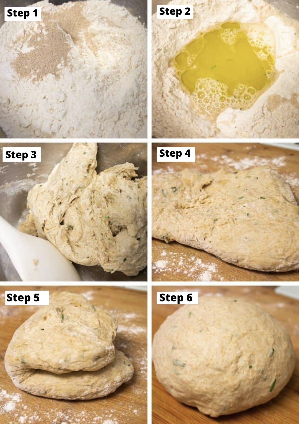 Process images for making focaccia dough. Combining flour and yeast, adding water and oil, mixing together, kneading, and forming dough into a ball. 