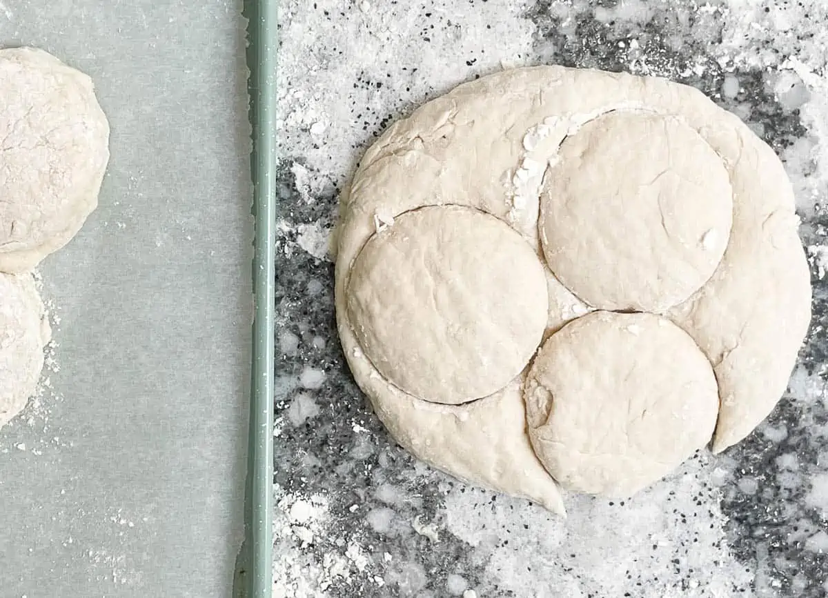 Cutting scones out of dough. 