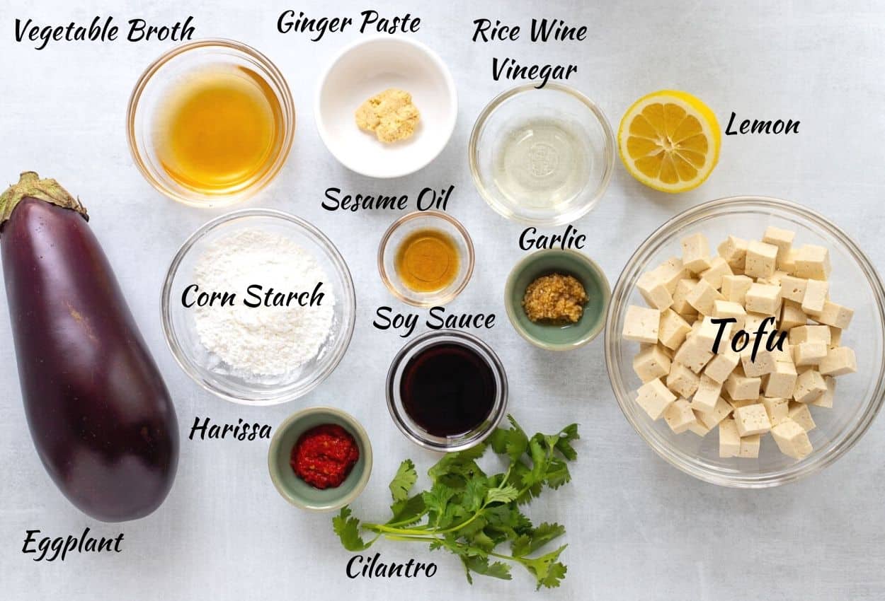 Szechuan Tofu Ingredients: Tofu, cilantro, harissa, soy sauce, garlic, sesame oil, rice wine vinegar, lemon, ginger, vegetable broth, corn starch, eggplant.
