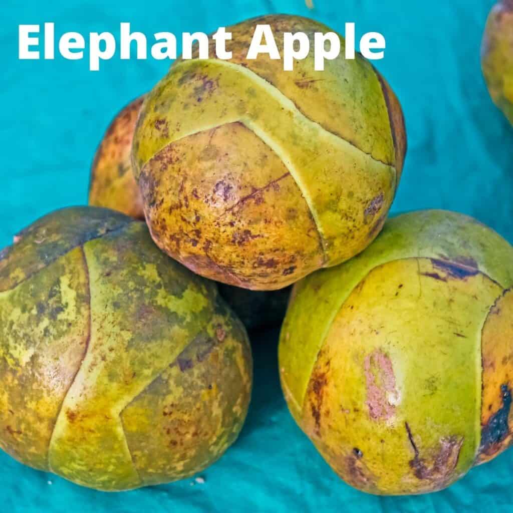 16 Fruits that Start with an E Keeping the Peas