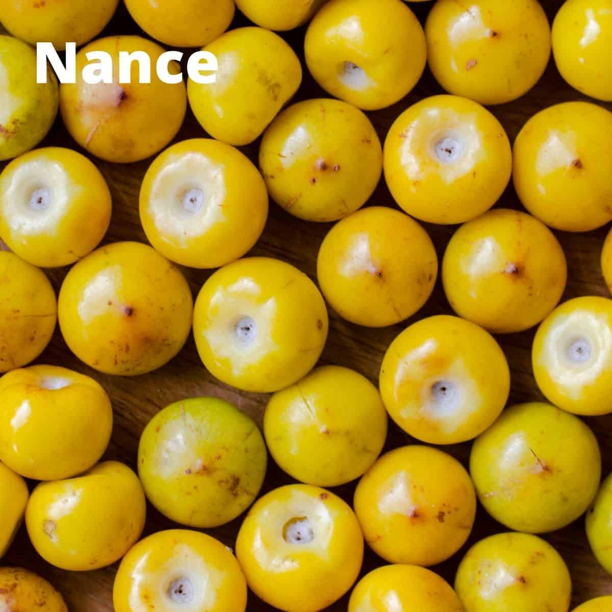 Fruits that start with N.  Nance fruit in a single layer on table. 