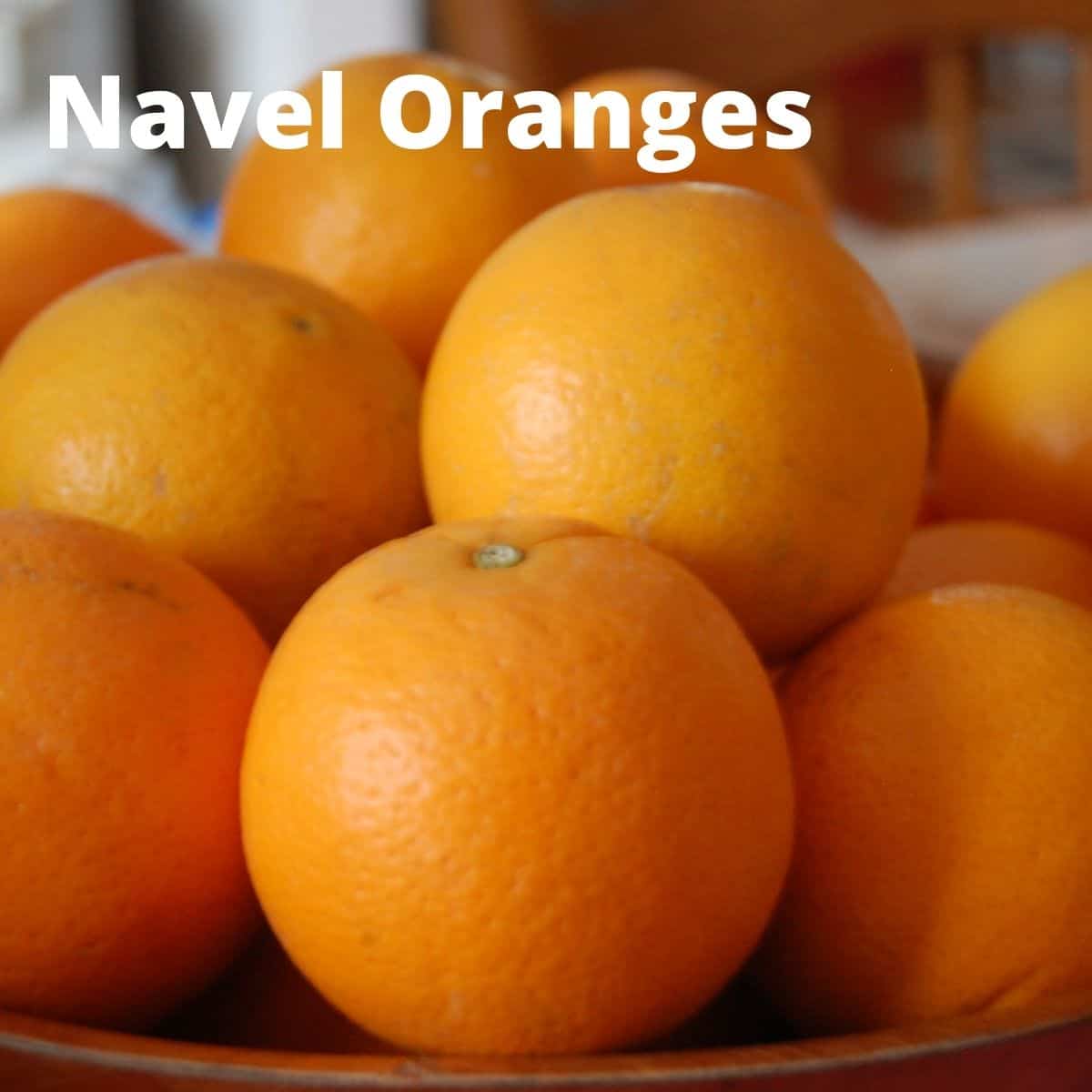 Fruits that start with N. Navel oranges in wood bowl. 