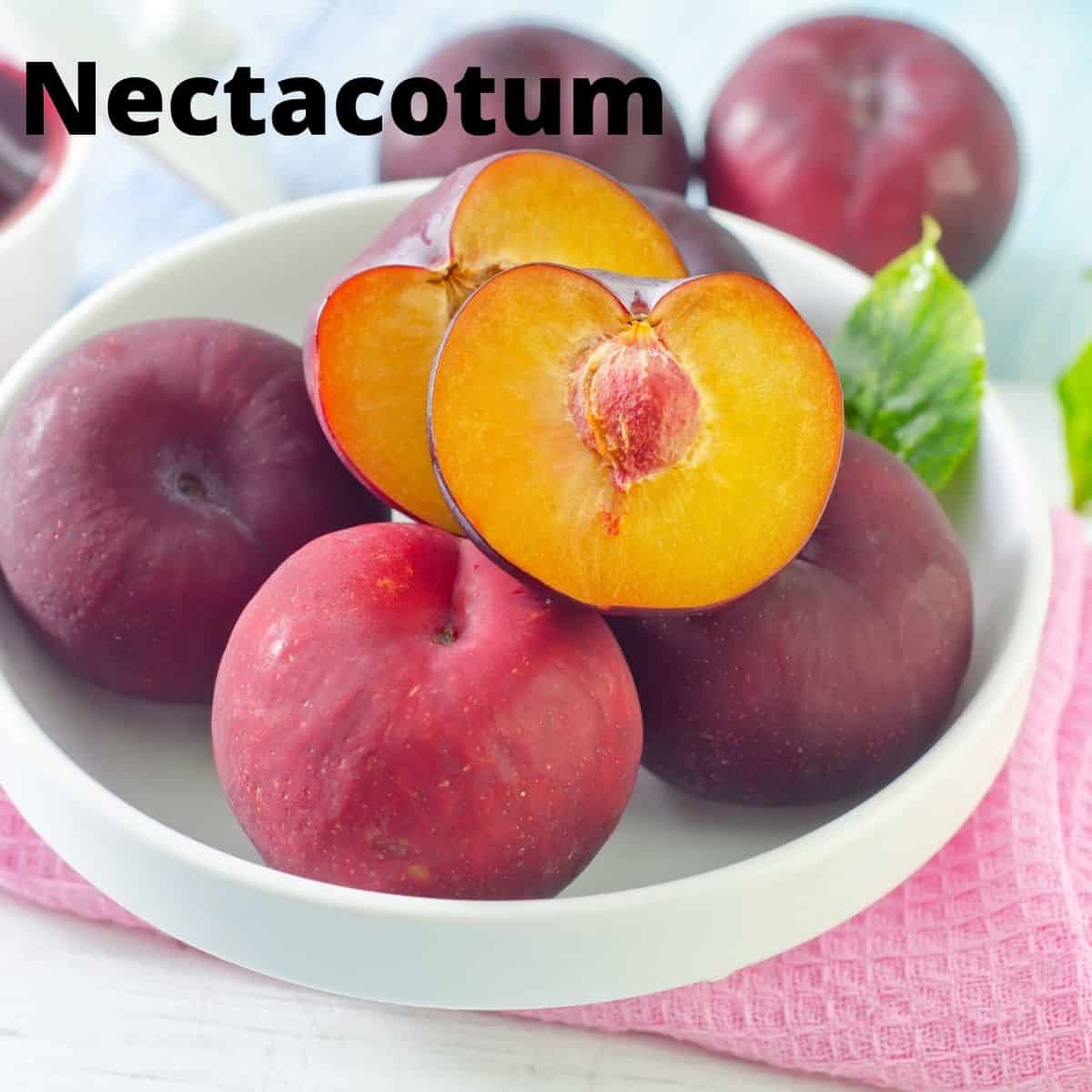 Nectacotum plum in white bowl. 