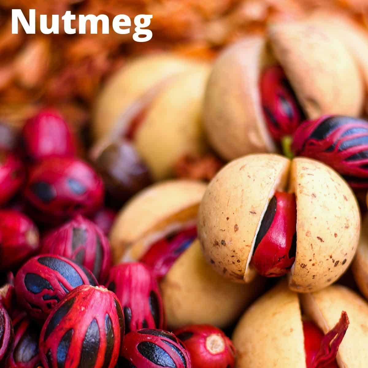 Nutmeg seeds and nutmeg fruit. 