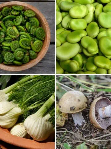 Vegetables that start with F collage, fern, fava beans, fennel, field mushroom.