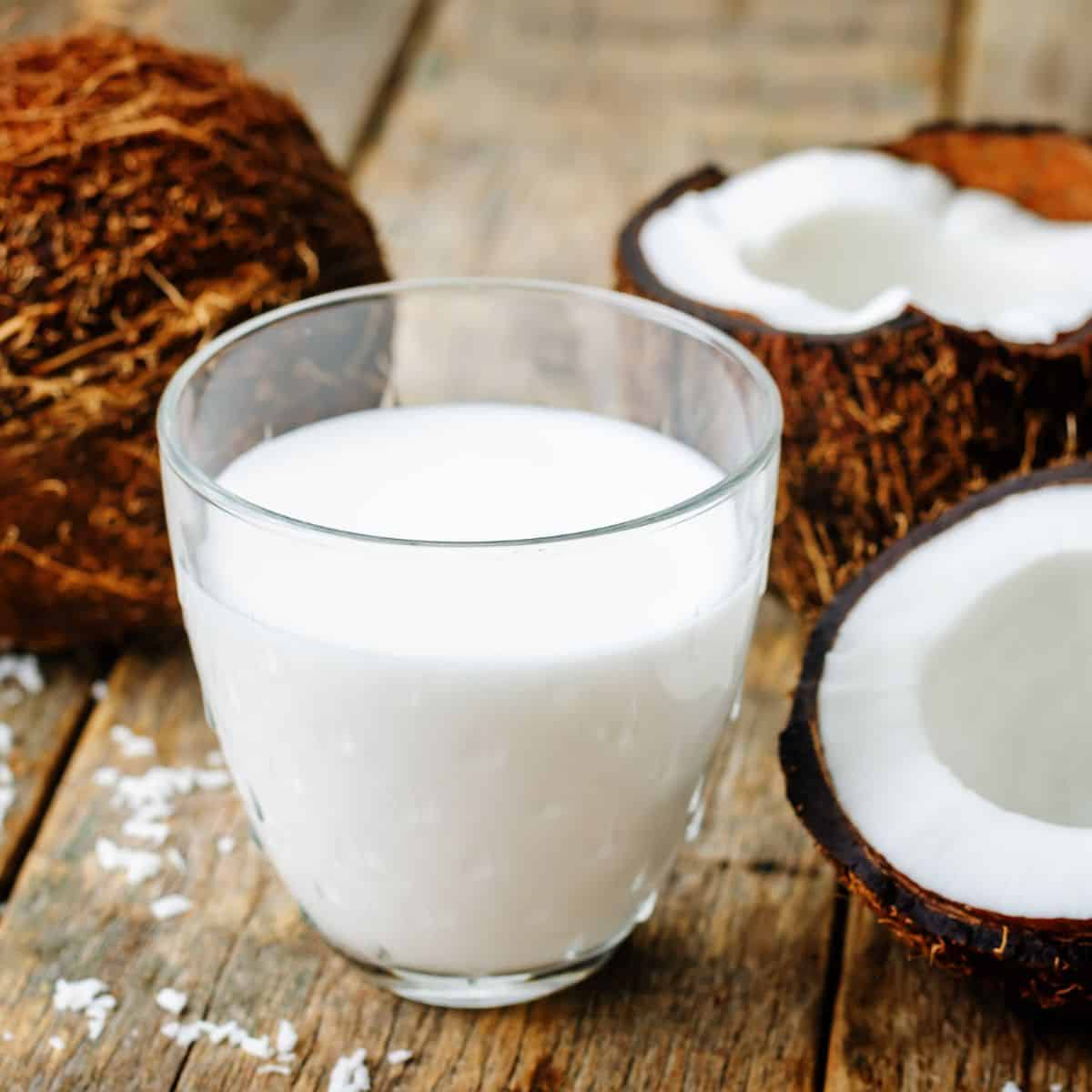 Glass of coconut milk surrounded by coconuts. 
