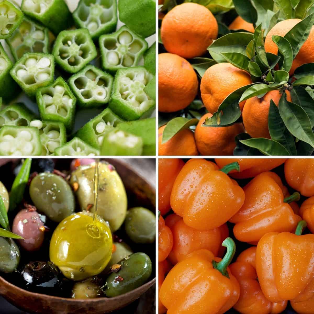 Collage of foods that start with O-okra, oranges, olives, orange peppers.