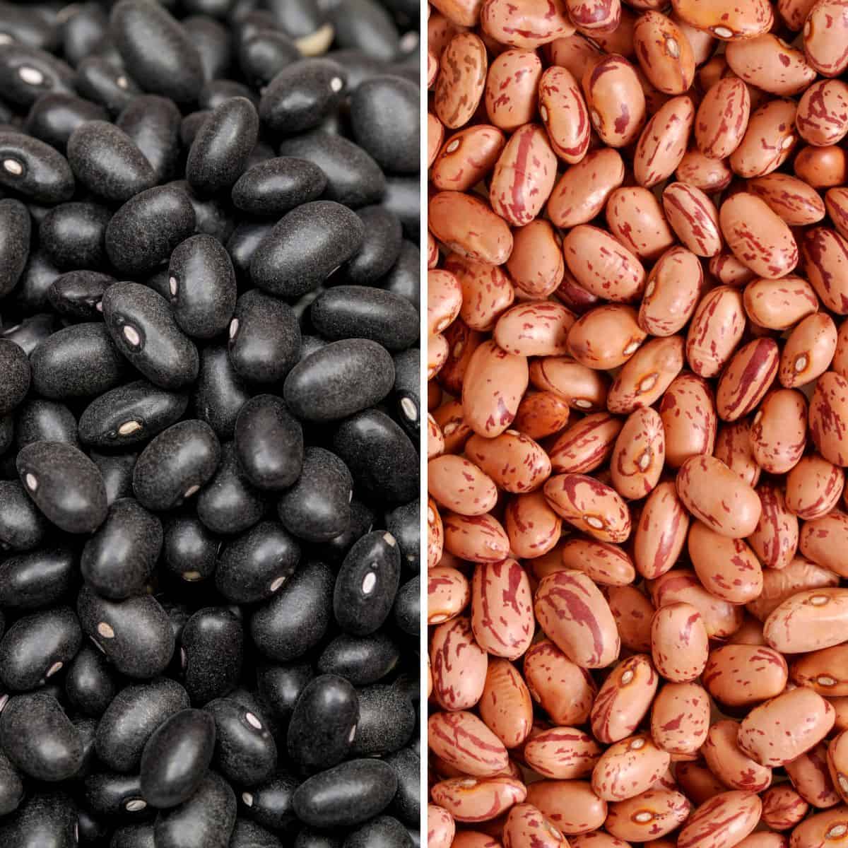 Close up of black beans and pinto beans.
