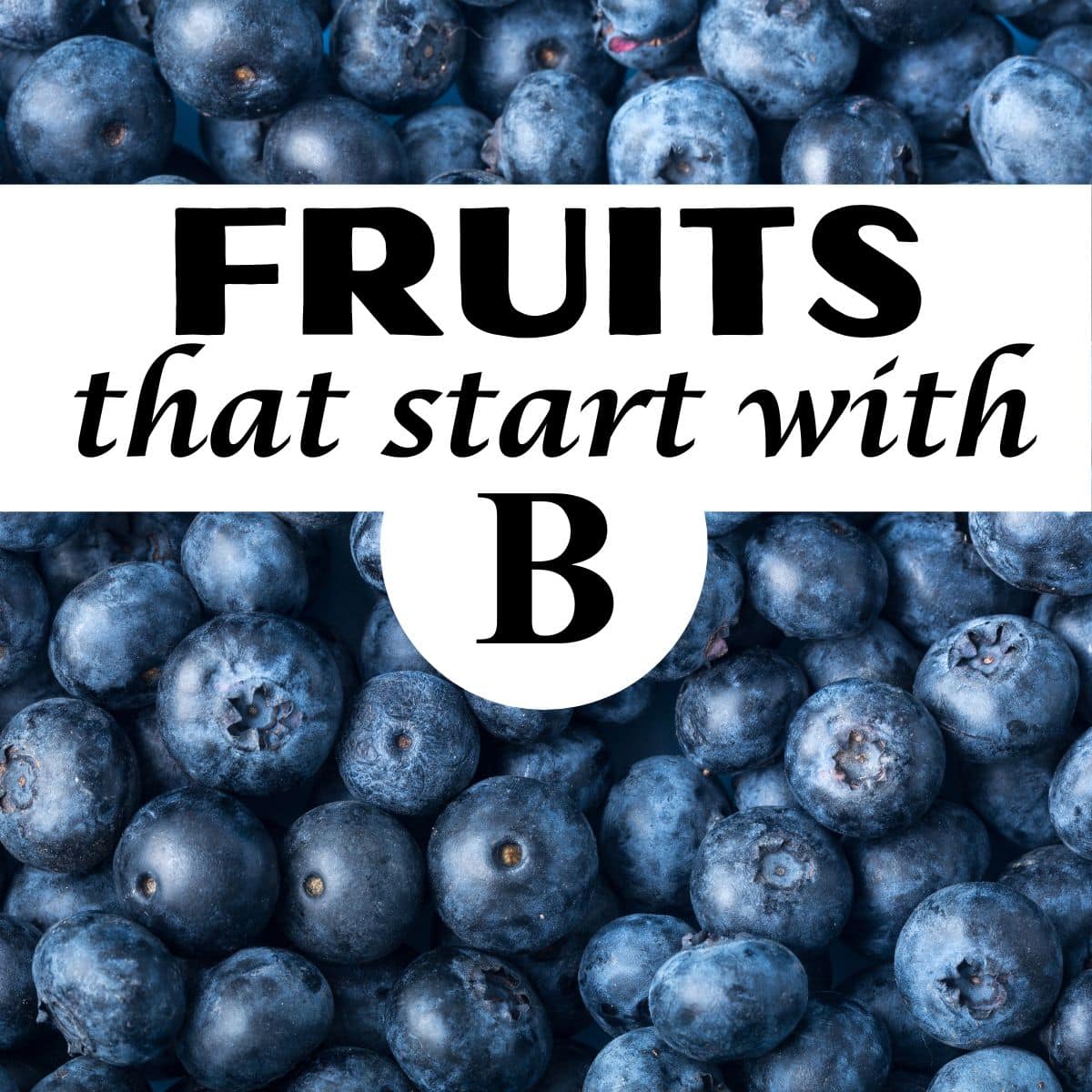 A bunch of blueberries with the title, "Fruits that Start with B."
