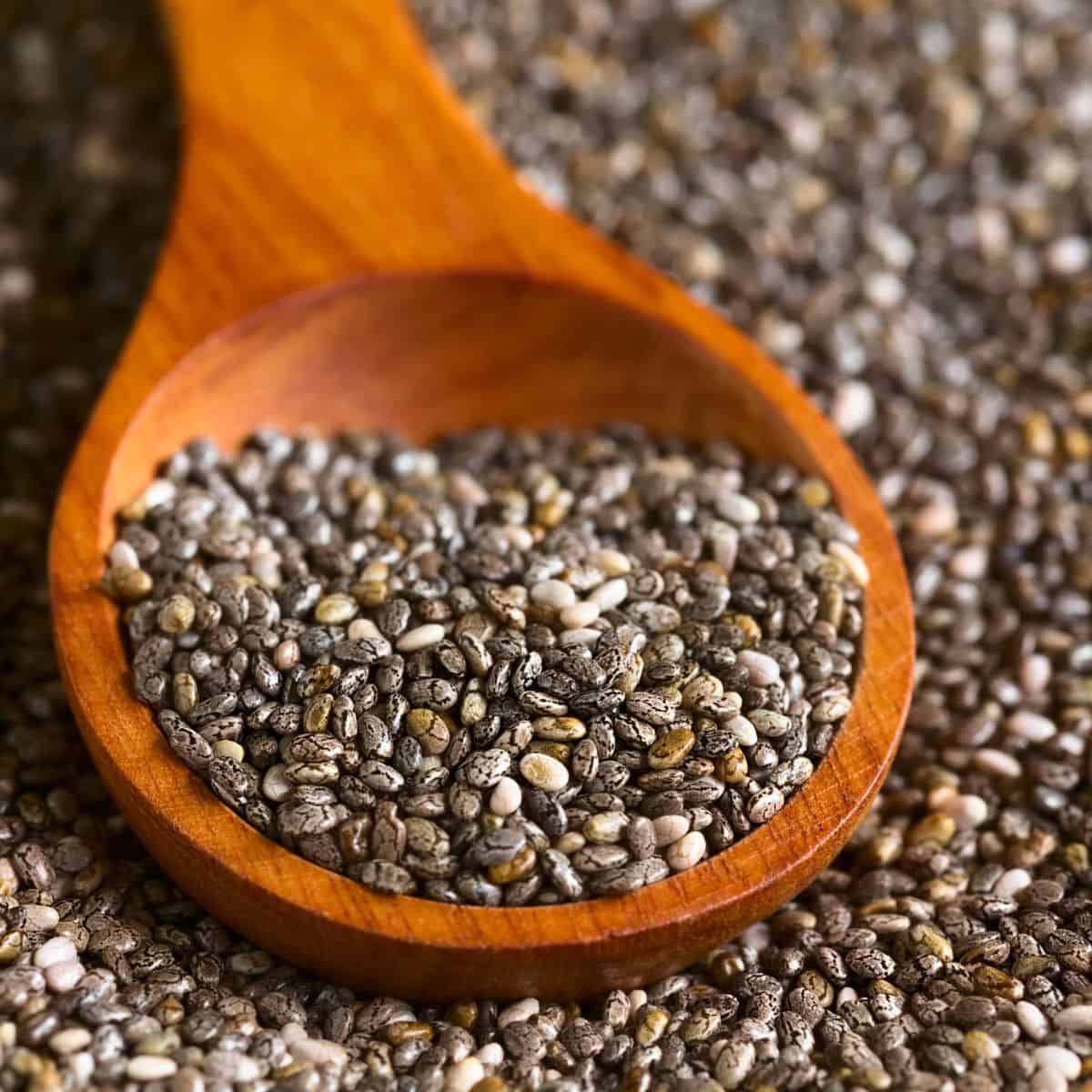 Wood spoon with scoop of chia seeds.
