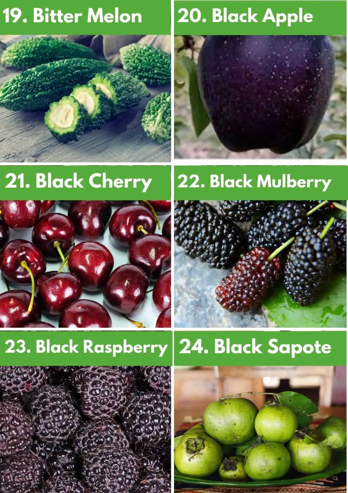 Fruits that start with B Collage: bitter melon, black apple, black cherry, black mulberry, black raspberry, black sapote. 
