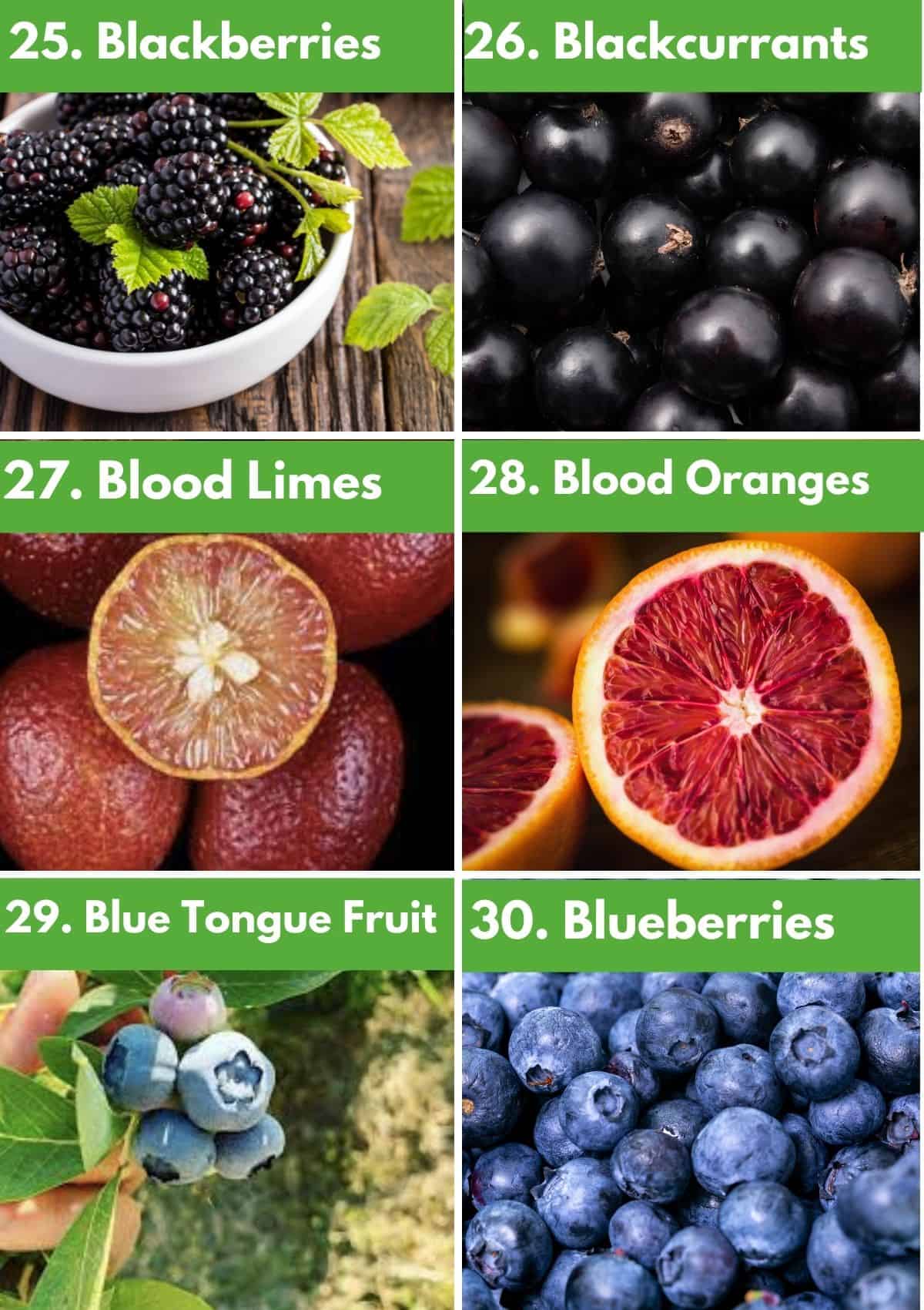 Fruits that start with B collage: blackberries, blackcurrants, blood limes, blood oranges, blue tongue fruit, blueberries. 