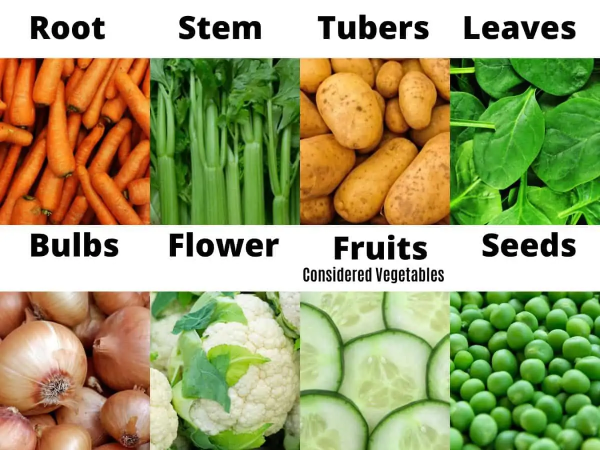 Vegetables Categories Chart: root, stem, tubers, leaves, bulbs, flower, fruits, seeds.
