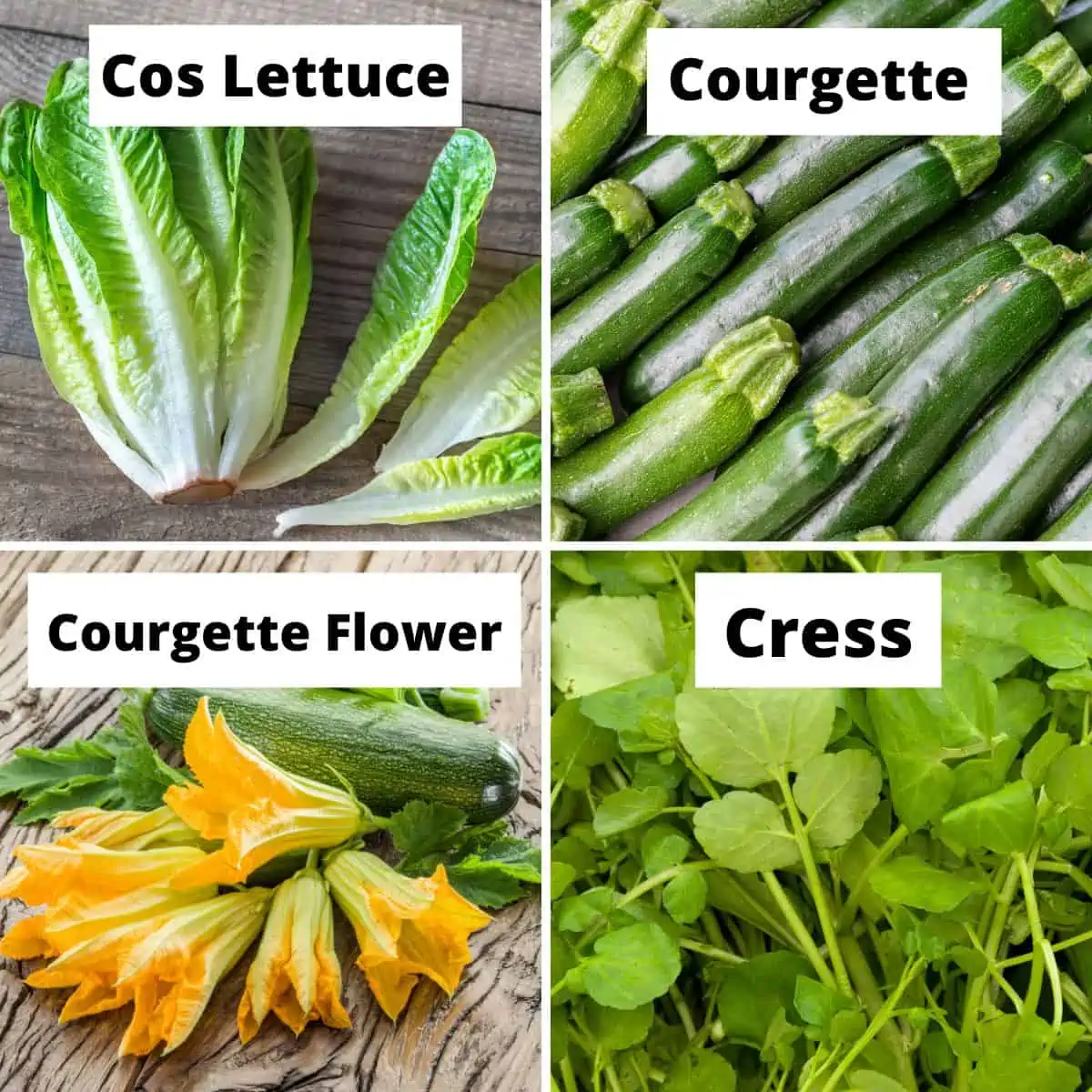 Vegetables that Start with C: Cos lettuce, courgette, courgette flowers, cress.

