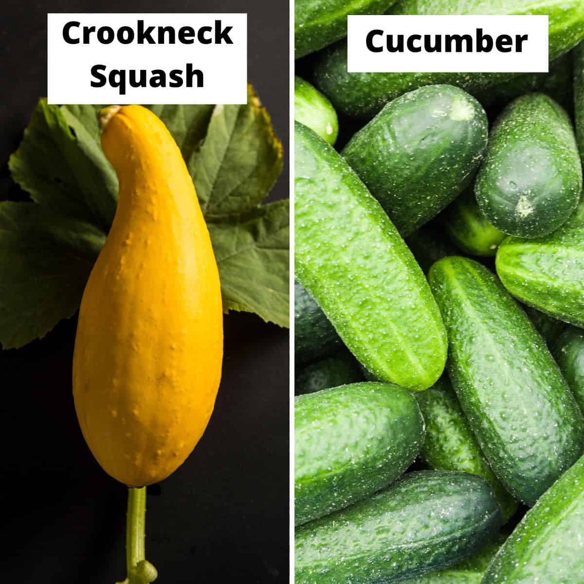 Vegetables that start with C: Crookneck squash, cucumber.
