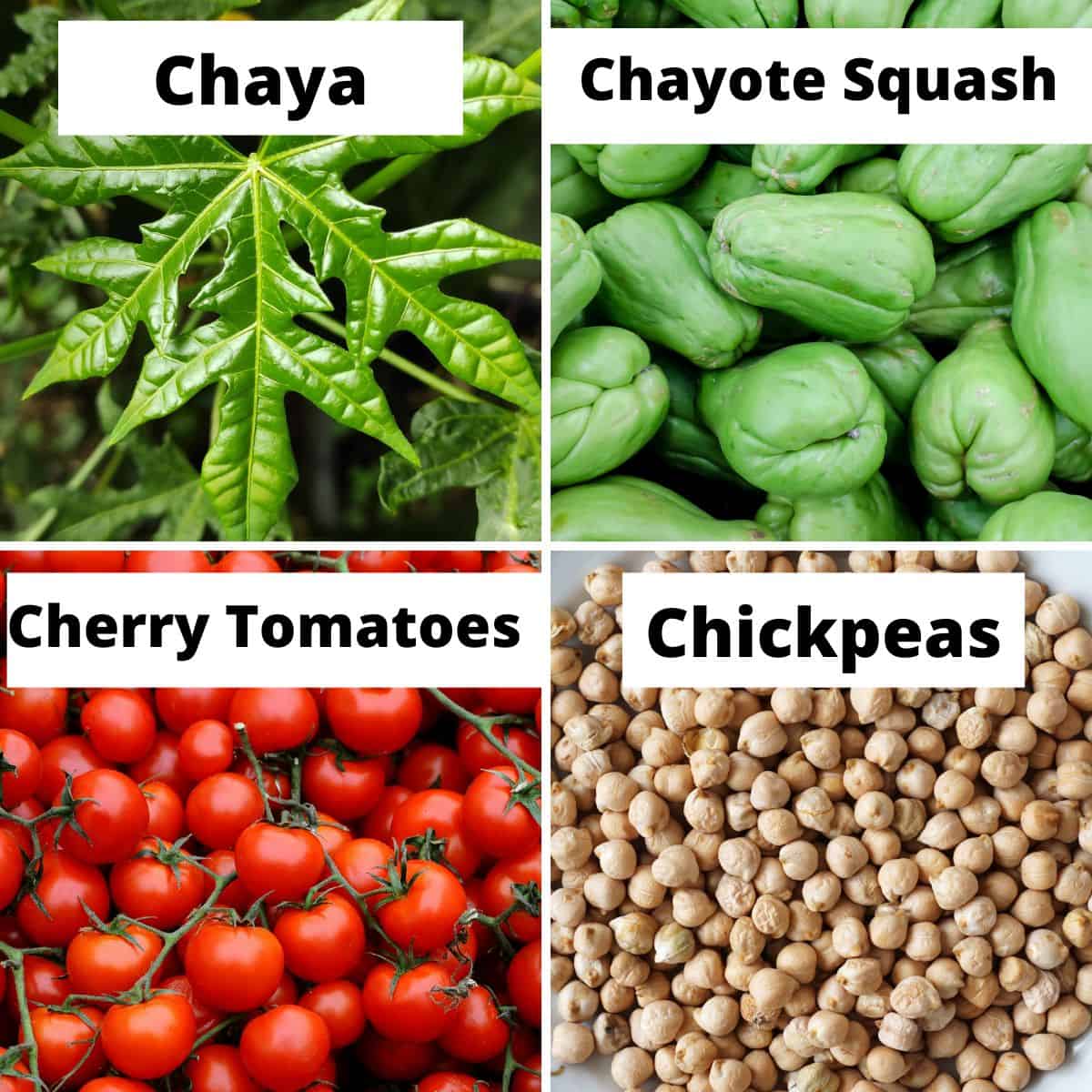 Vegetables that Start with C: chaya, chayote, cherry tomatoes, chickpeas.
