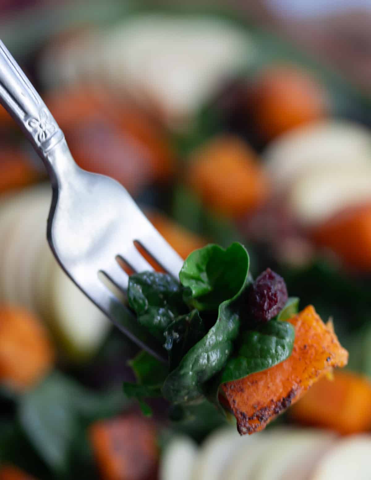 Fall Kale salad bite on fork.
