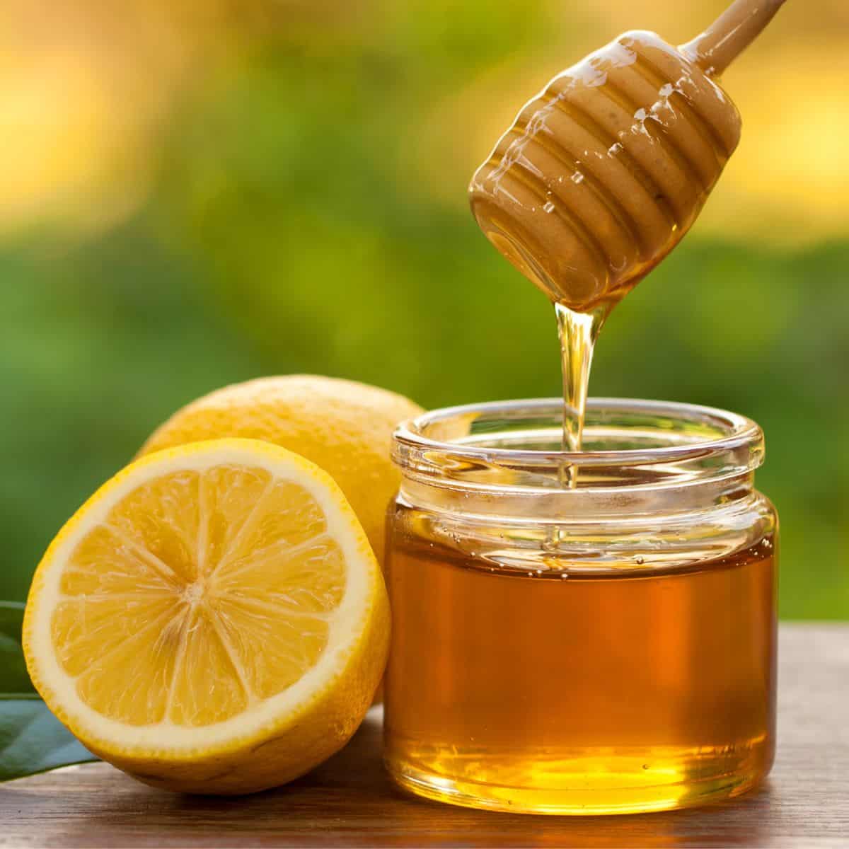 Honey wand dipped in jar of honey beside a lemon cut in half. 
