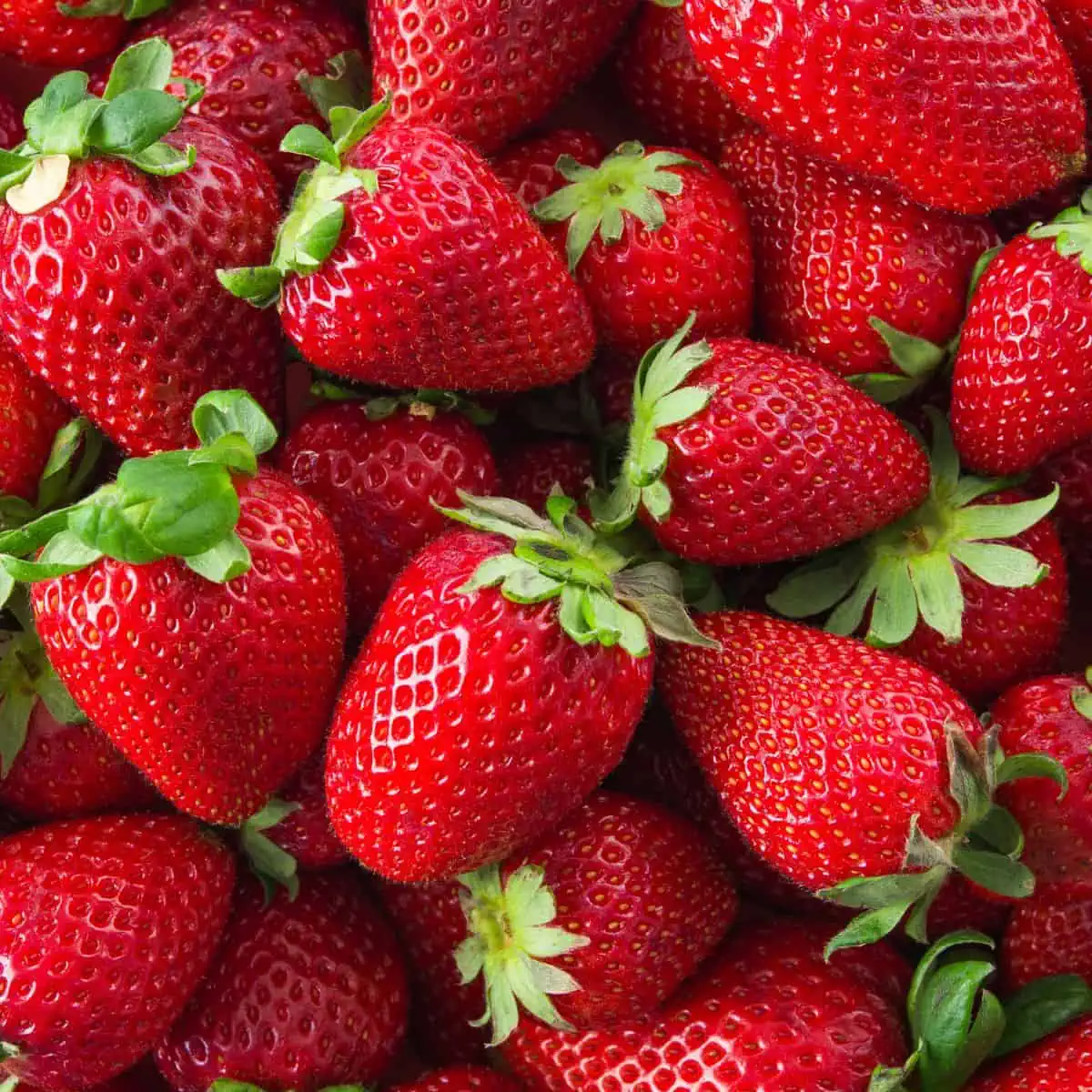 Strawberries close up. 