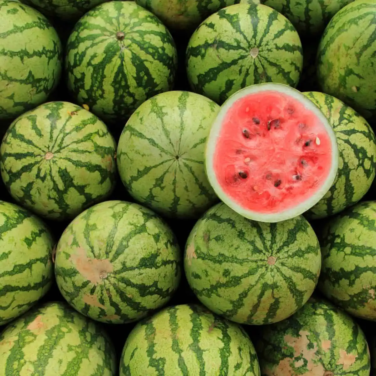 Watermelons, with one cut in half to show the center. 
