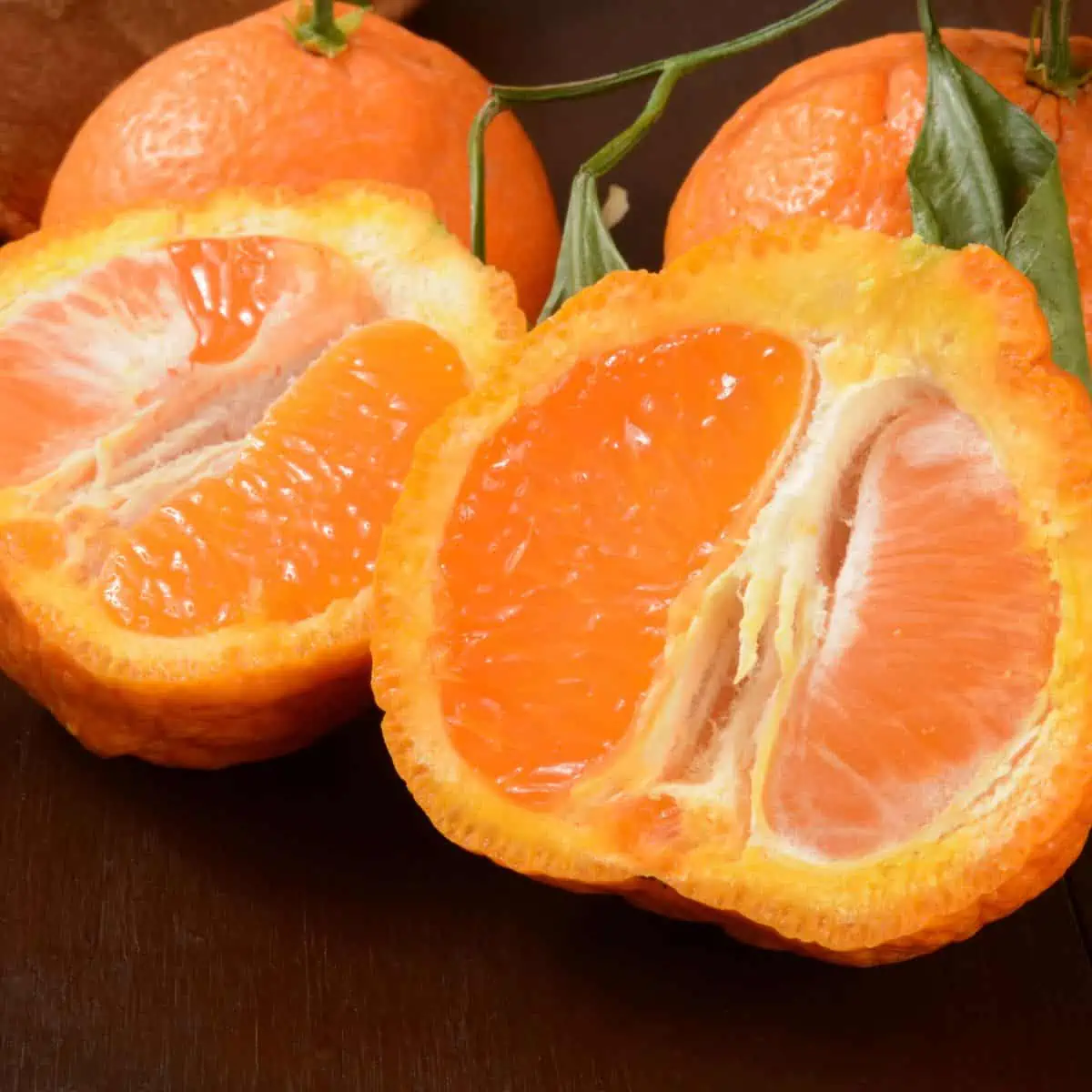 Sumo citrus fruit cut in half. 