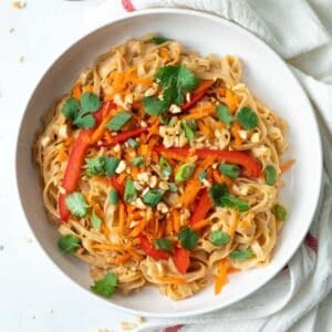 Bowl of Thai Peanut Noodles topped with chopped peanuts and cilantro.