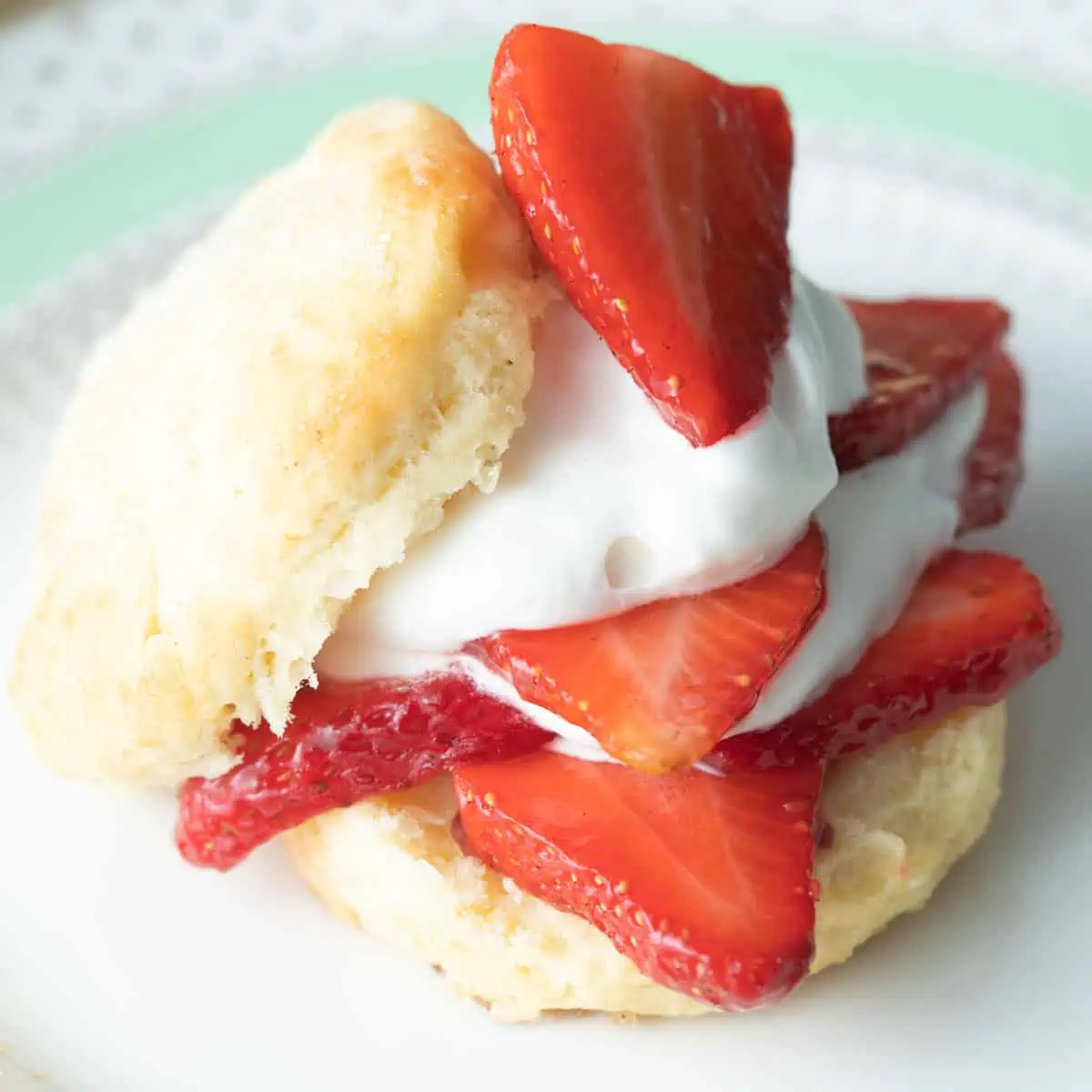 Vegan strawberry shortcake with vegan biscuits, fresh cut strawberries, and creamy whipped cream.

