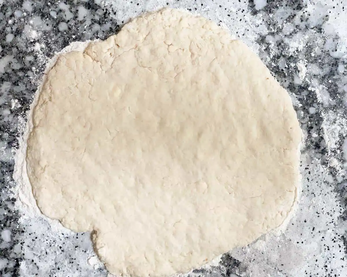 Flattened dough on lightly floured surface.