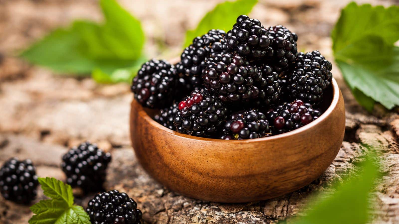 Bowl of blackberries.
