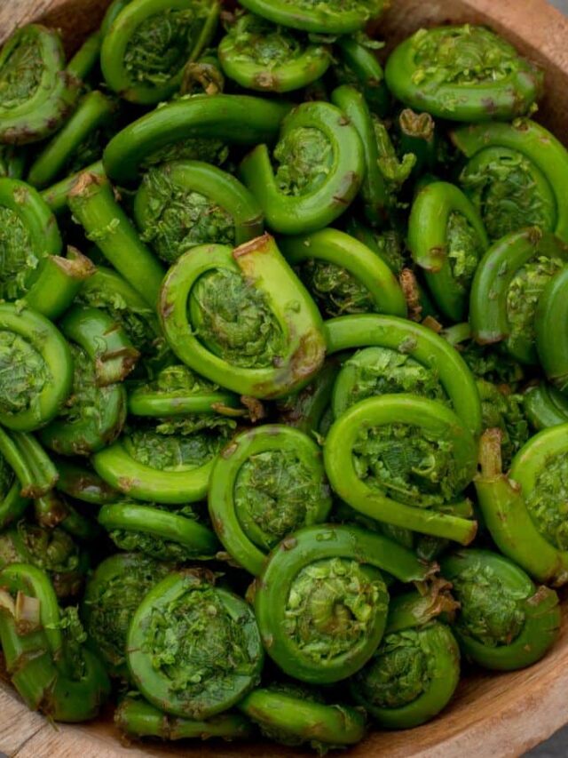 Unusual Vegetables You Must Try Today