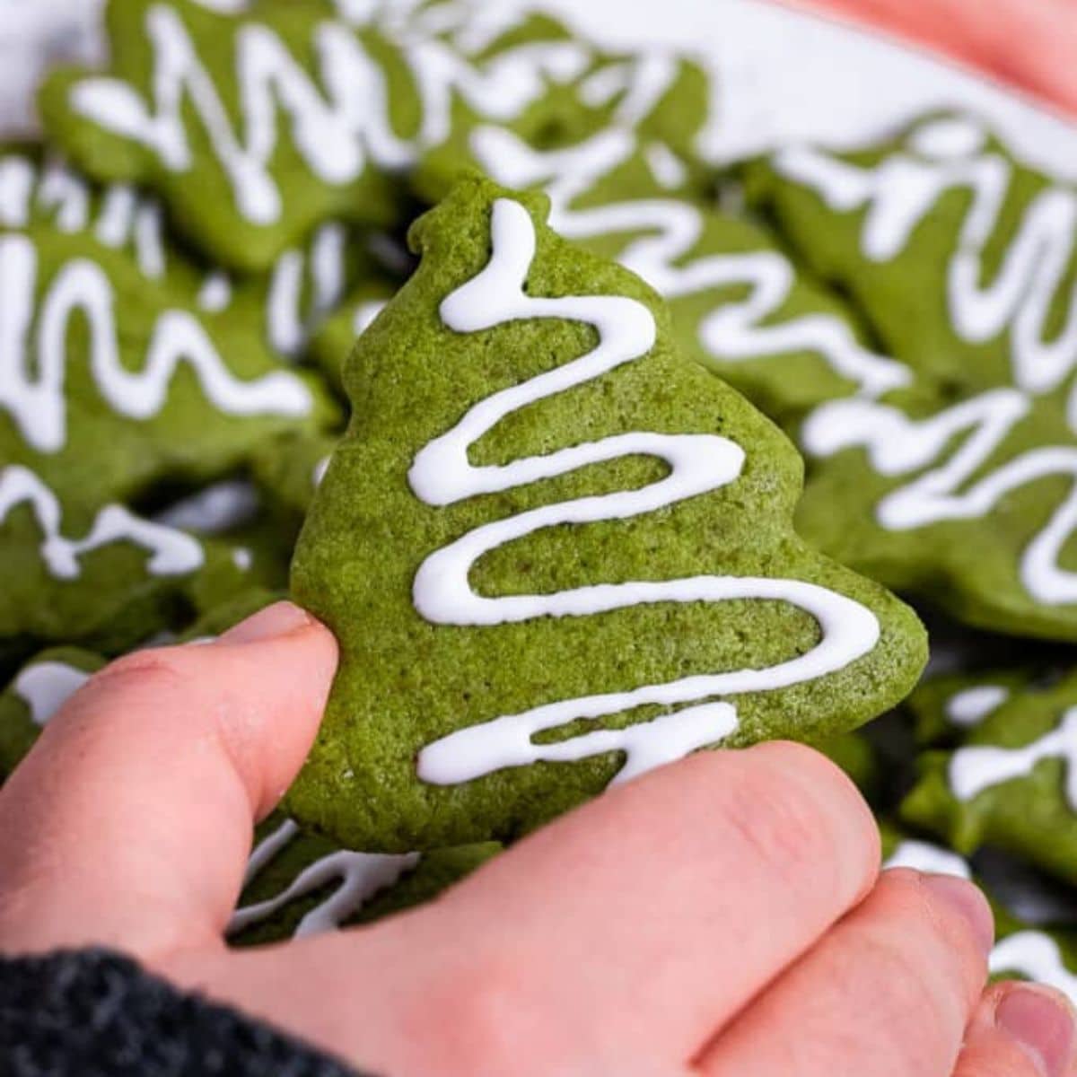 Christmas tree shaped matcha cookies.