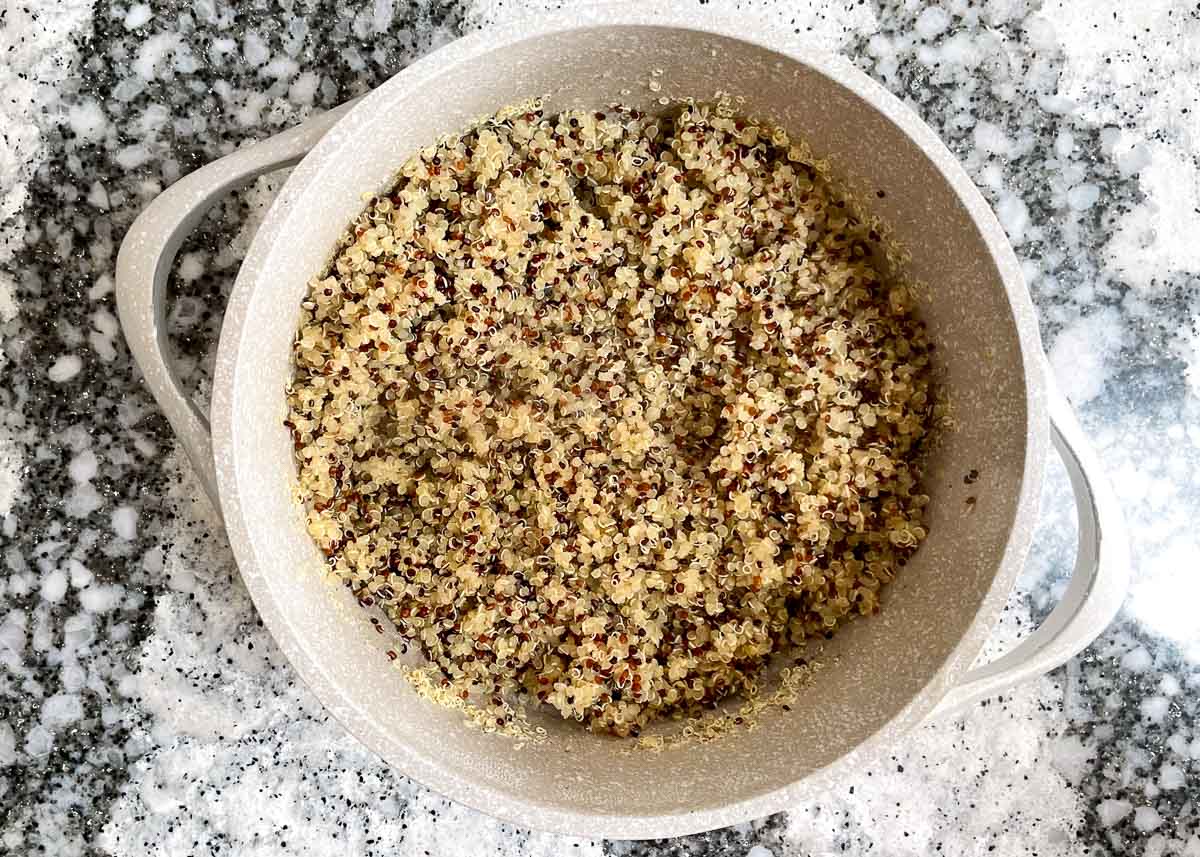 Cooked quinoa in pot.