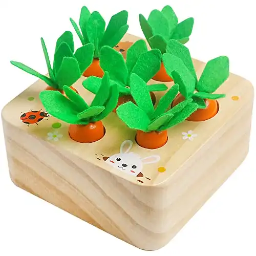 Toy Carrot Harvest Game Shape & Sorting