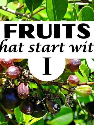 Icanco fruit, "fruits that start with I."